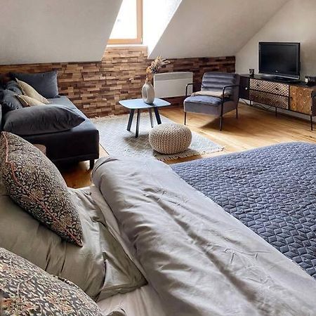 Cozy And Warm Apartment In The Heart Of Karlsbad Exterior photo